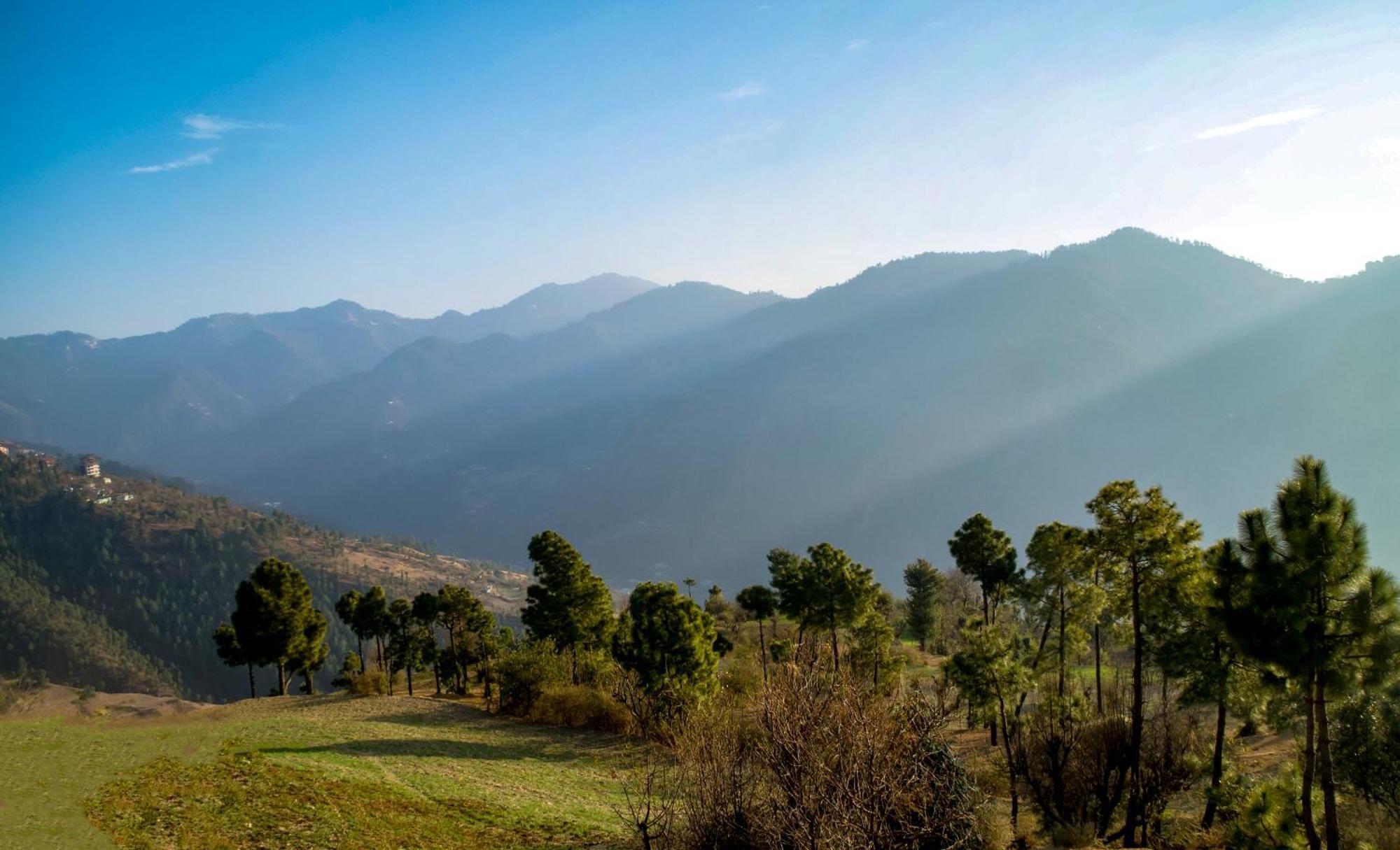 משוברה The Manor Luxury Apartments, Shimla מראה חיצוני תמונה