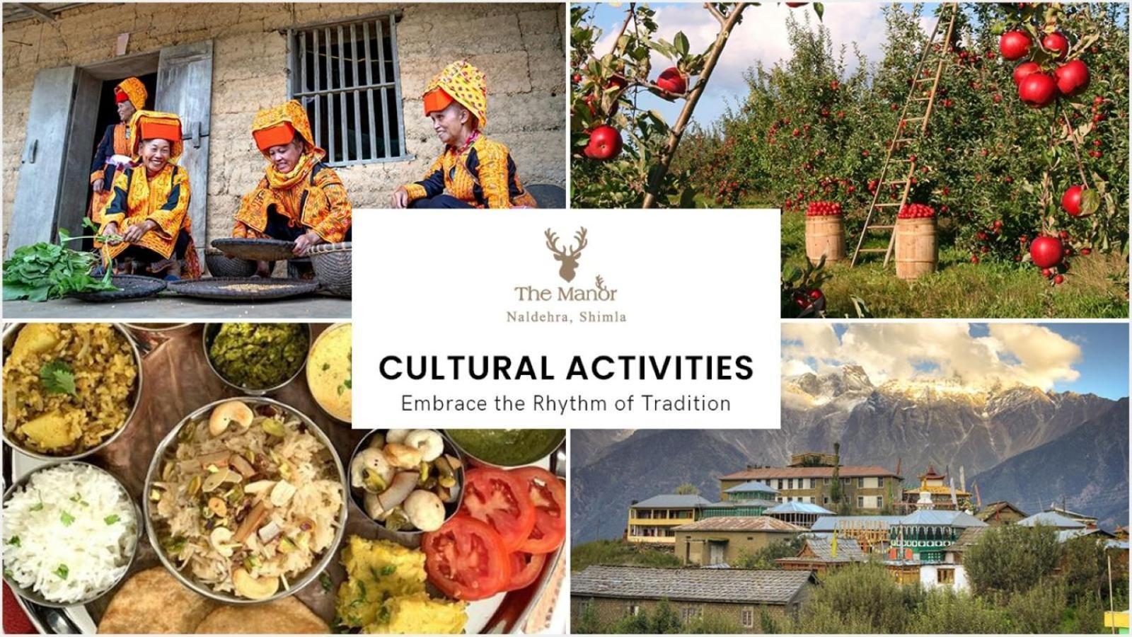 משוברה The Manor Luxury Apartments, Shimla מראה חיצוני תמונה